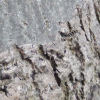 thumbDSCN3627.JPG