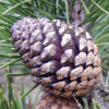 thumbDSCN2064.JPG