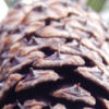 thumbDSCN2073.JPG