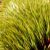 thumbDSCN3041.JPG