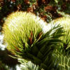 thumbDSCN3043.JPG