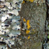 thumbDSCN0330.JPG